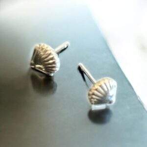 mini Muschel Ohrstecker silber - Edelstahl