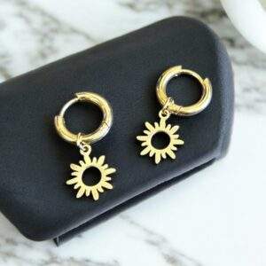 Solara Shine Ohrringe gold - Edelstahl