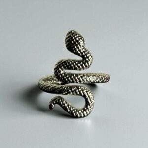 Serpent Power Ring silber - Größenverstellbar, Edelstahl, Wasserfest